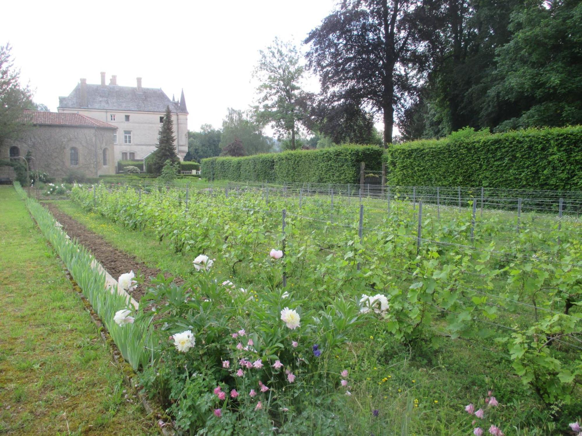 Chateau Des Monthairons Hotel Restaurant Gastromaison Spa Privatif Les Monthairons Exterior foto